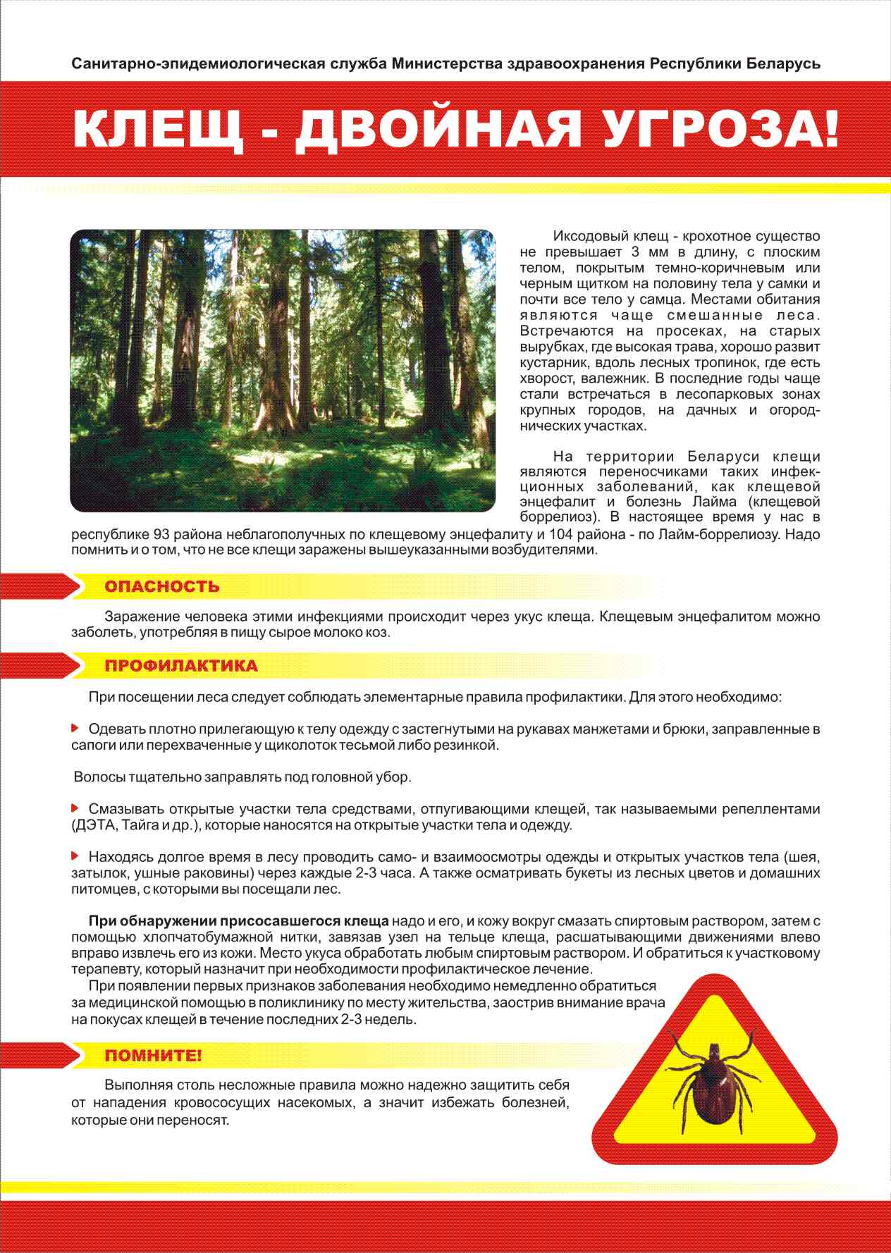 Клещ двойная угроза L06