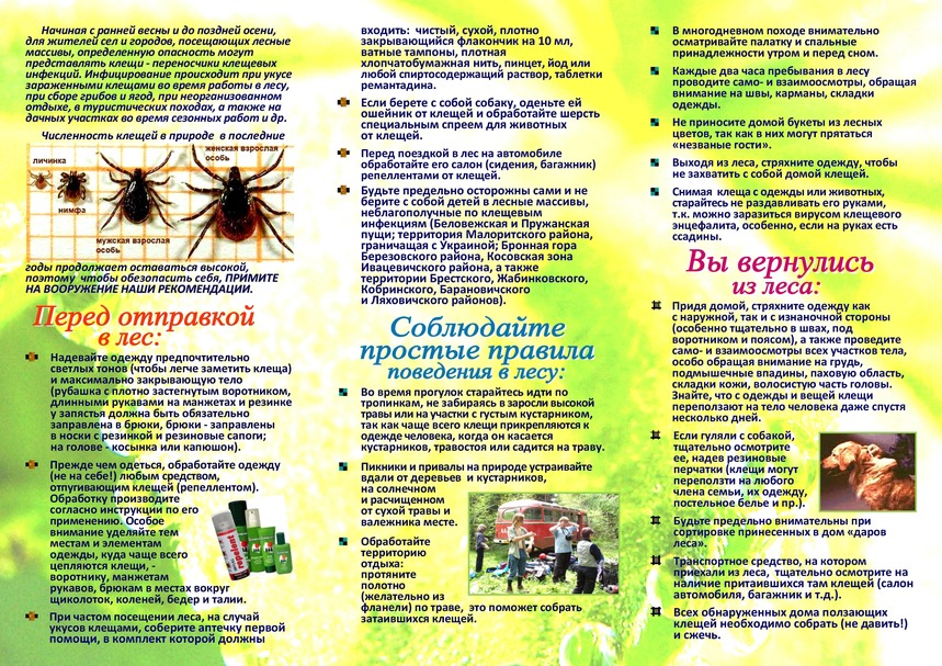 клещ