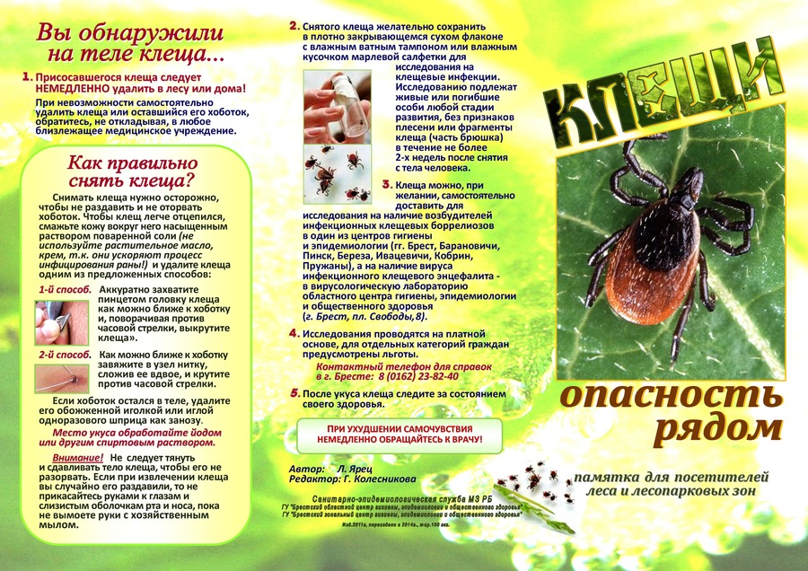 клещ 1