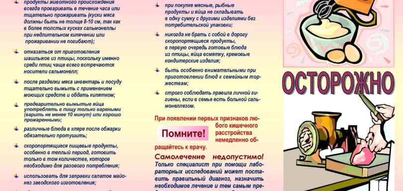 Осторожно сальмонеллез Буклет переизд Оборот 2024