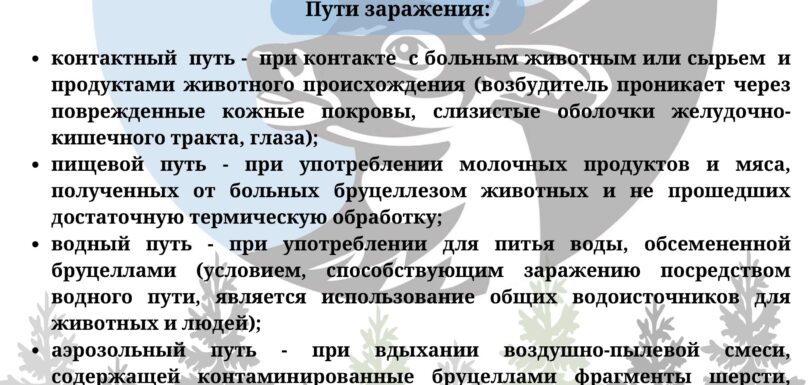 Охотнику на заметку бруцеллез когда инфекция опасней оружия 1