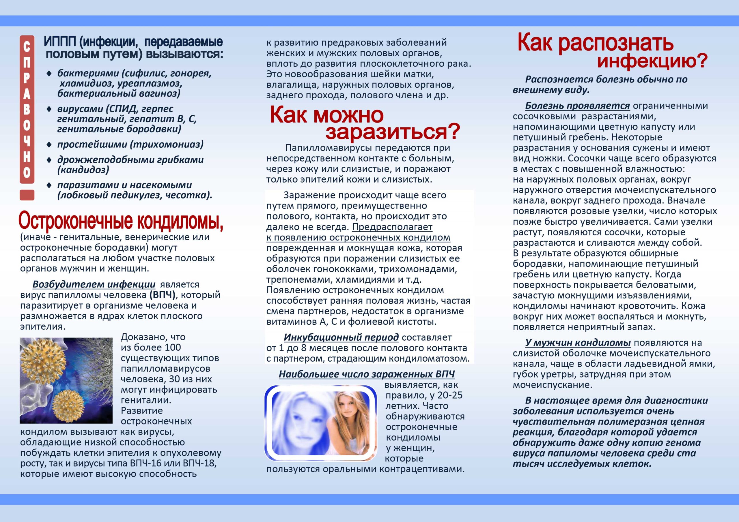 Kondil 1