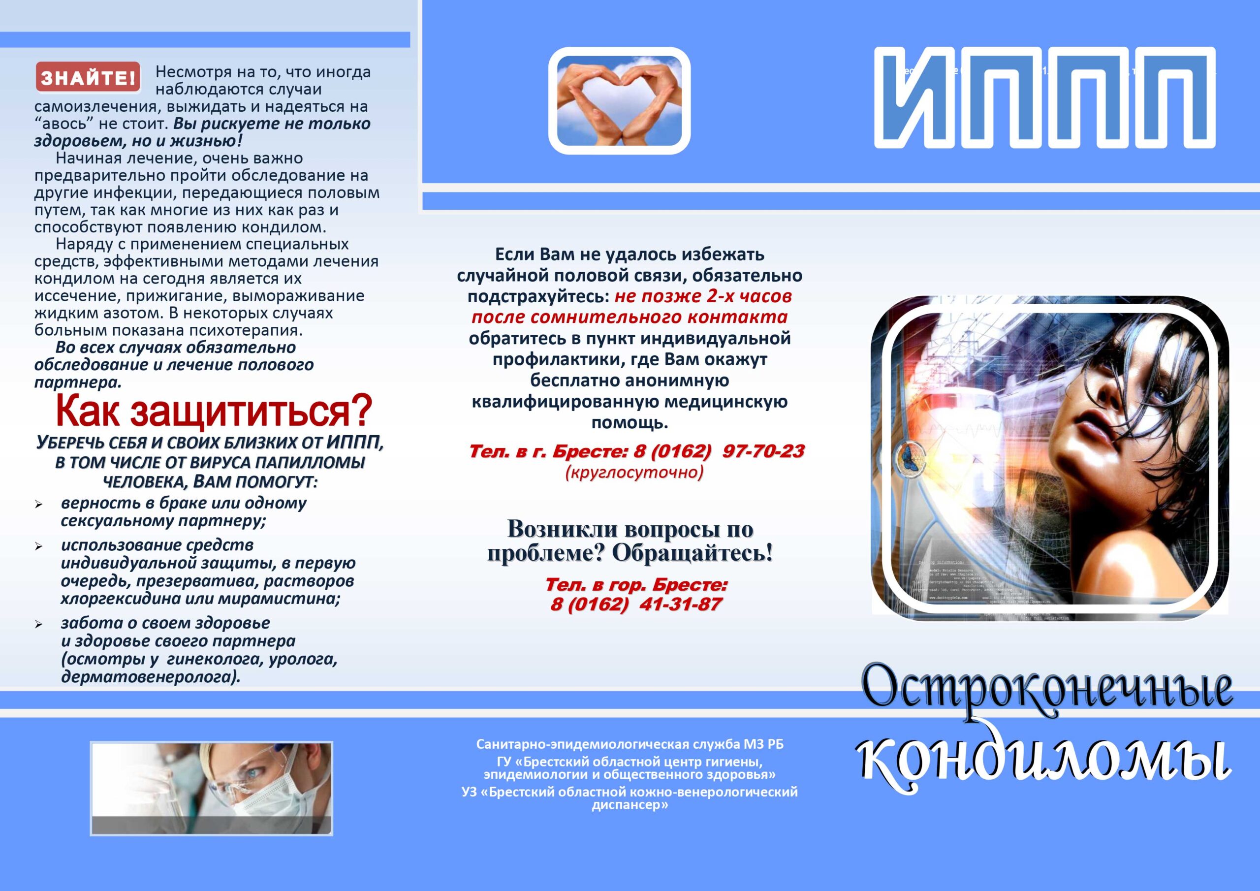 Kondil 2