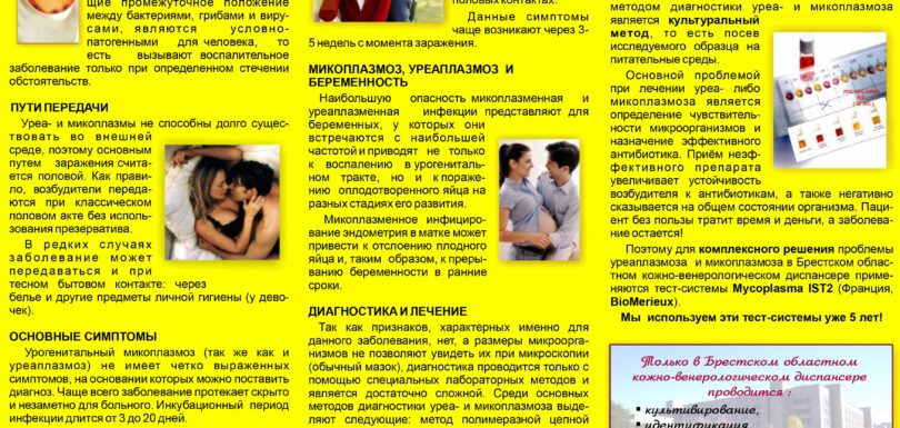 MICOUREA 1