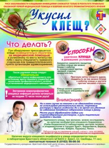 Укусил клещ Что делать min