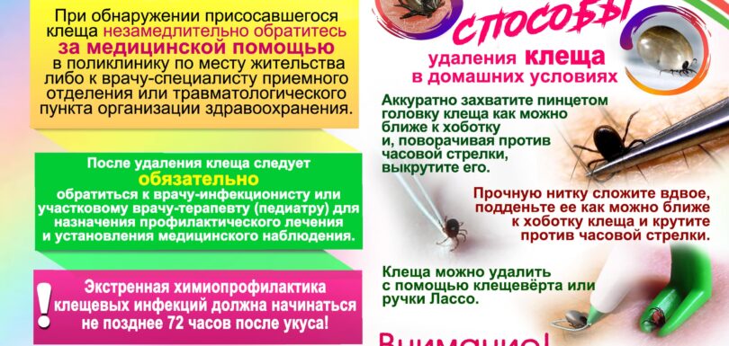 Укусил клещ Что делать min