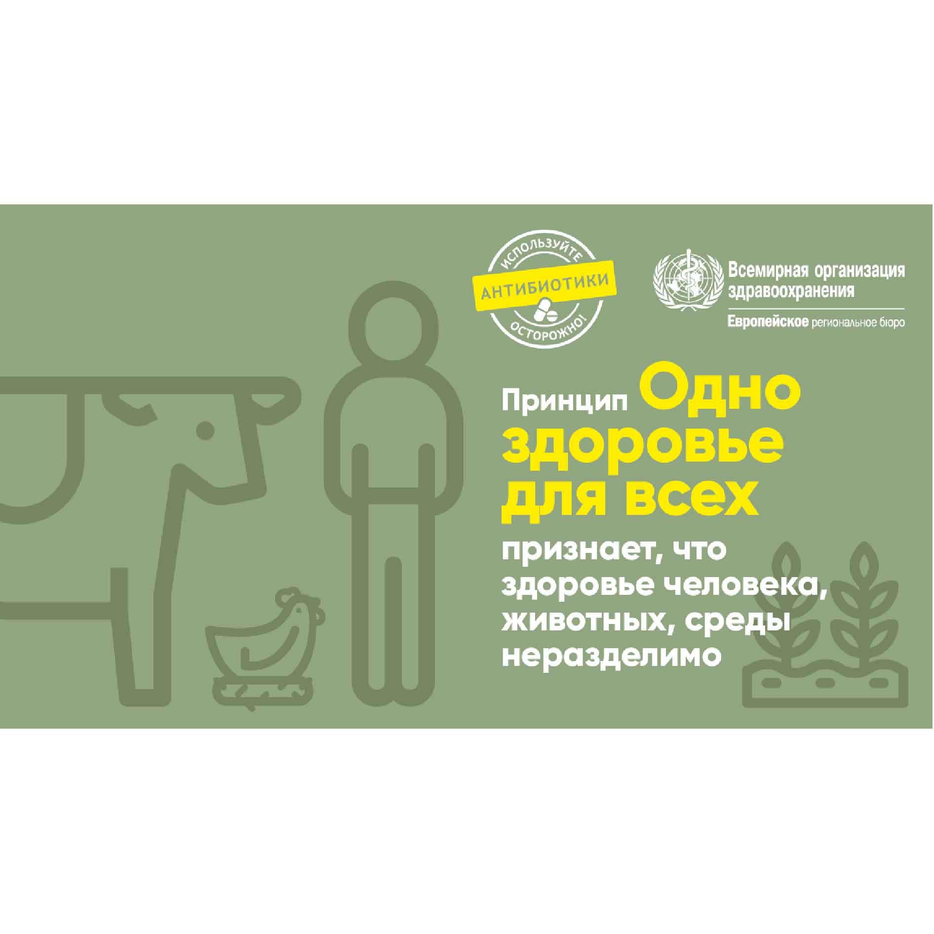 poster принцип единое здоровье