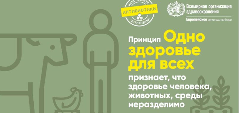 poster принцип единое здоровье