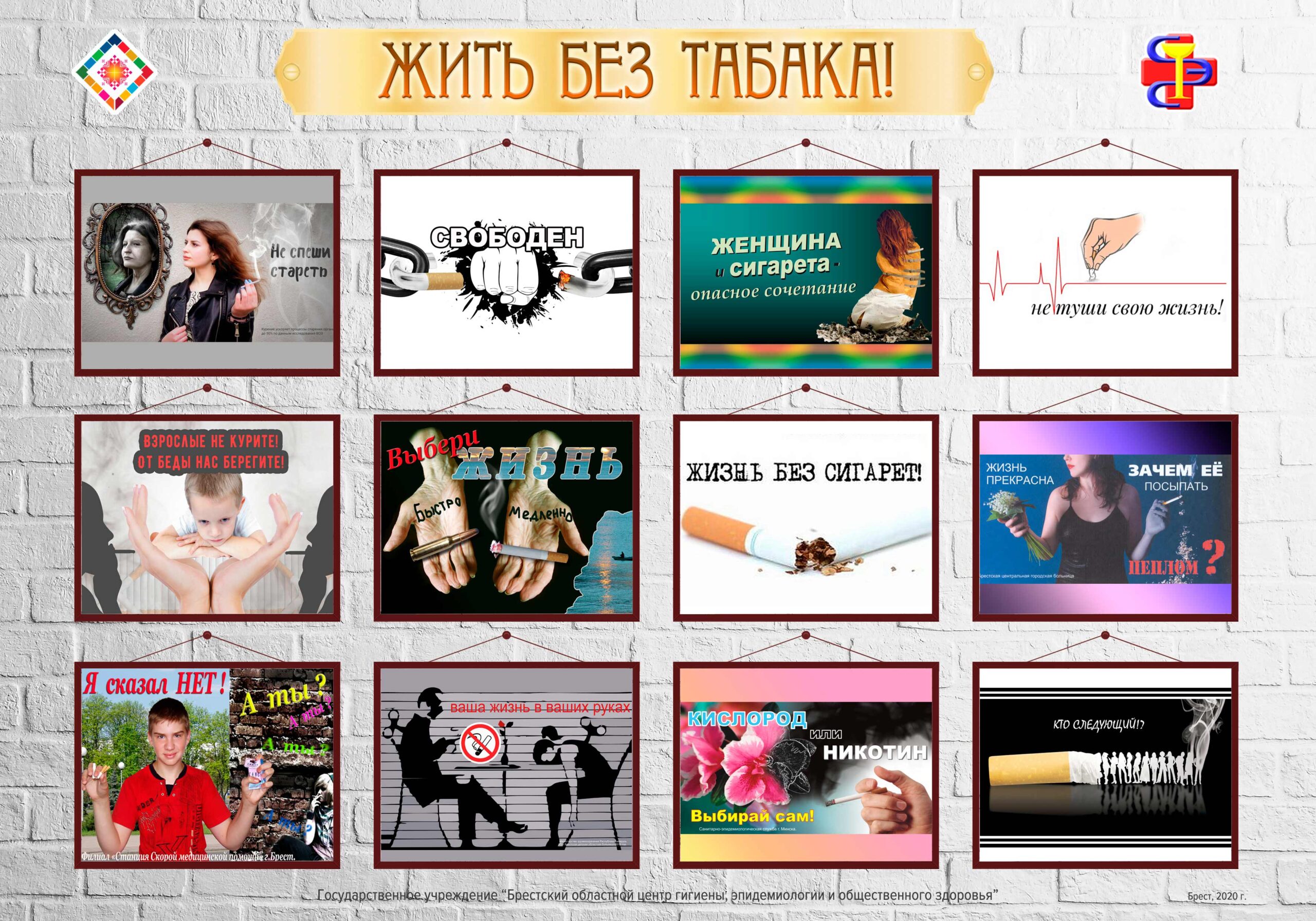 Экспресс выставка 2