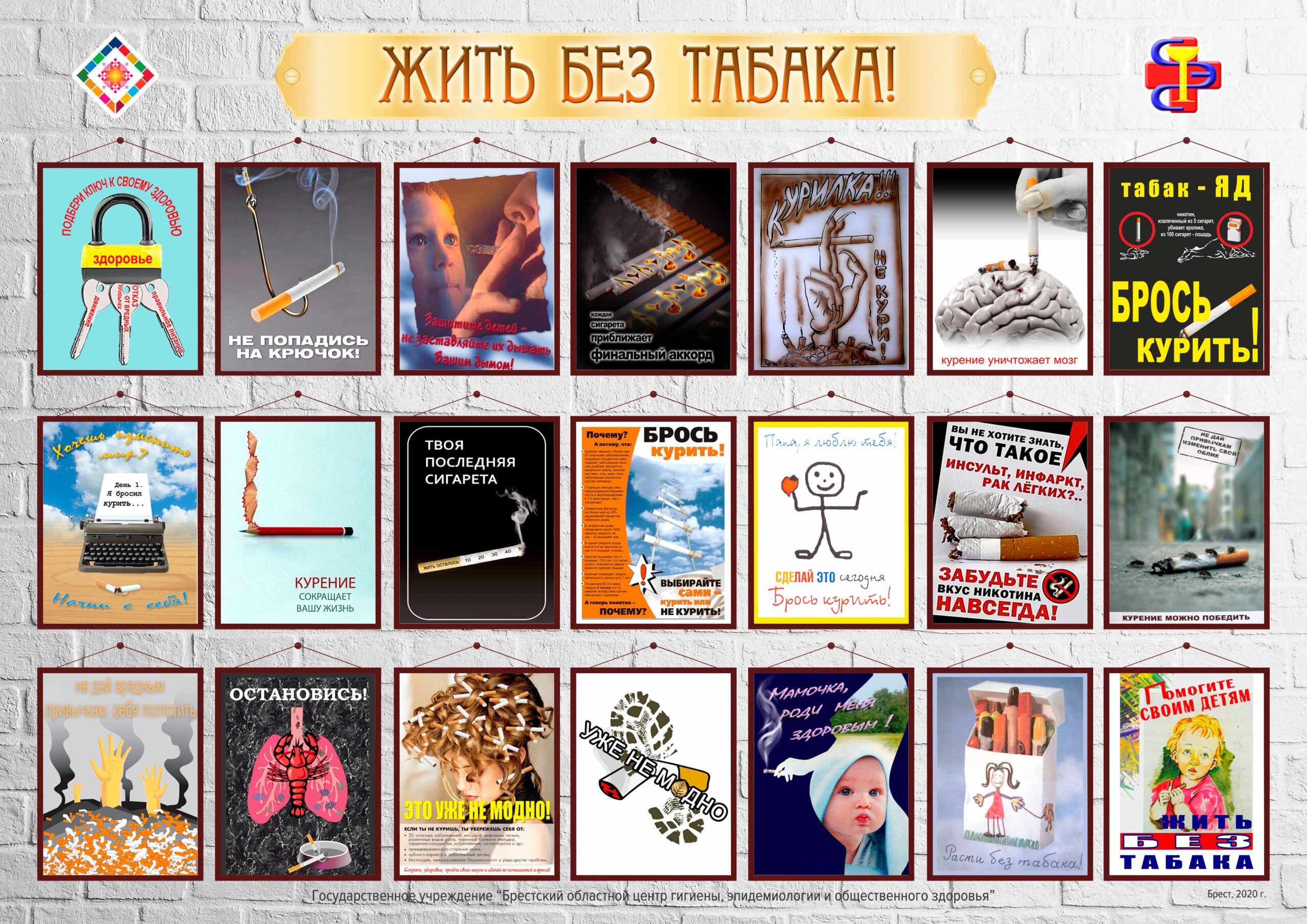 Экспресс выставка