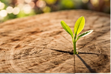 самаубийство 5