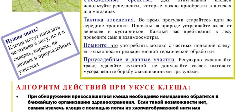 Клещевые инфекции