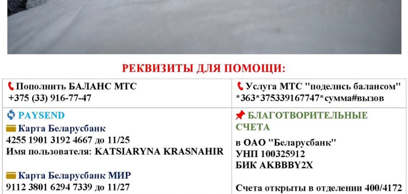 Листовка Красногир