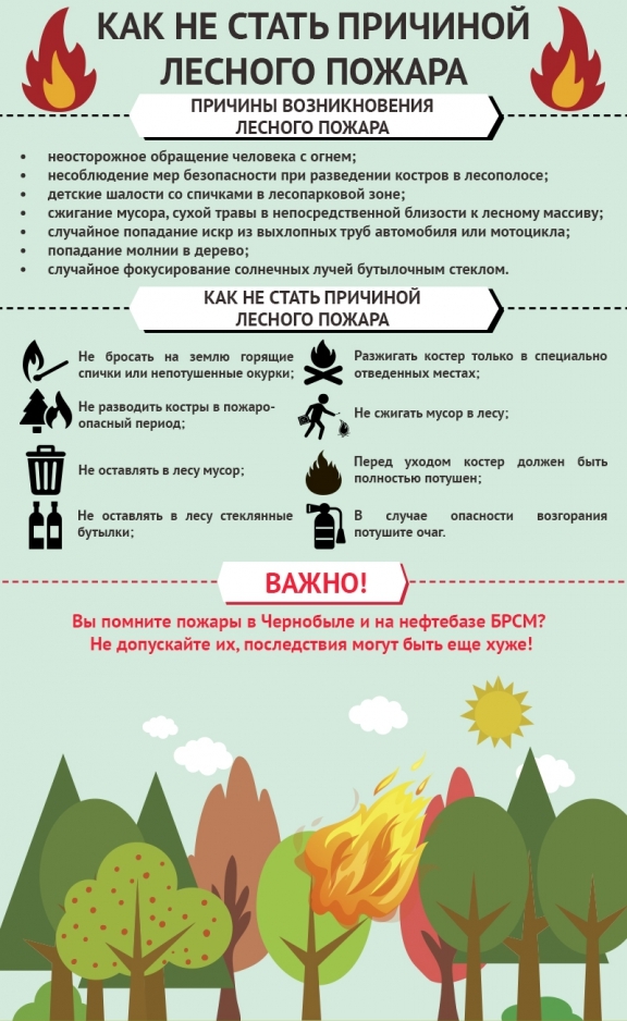 Профилактика пожаров в лесу