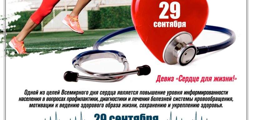 ВД сердца 2023