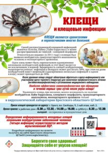 печать Клещи и клещевые инфекции 2024 А4