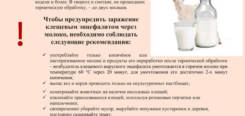 памятка козье молоко