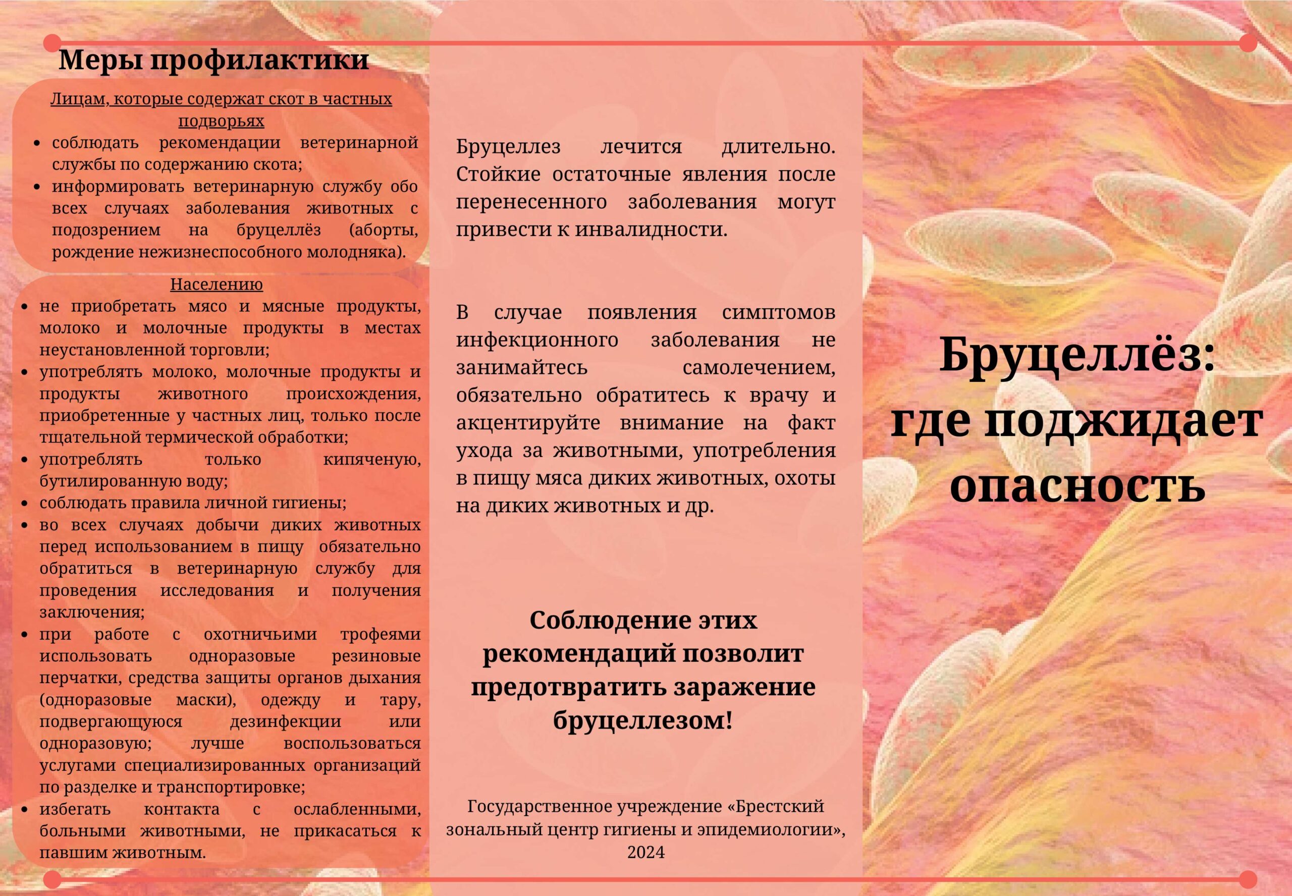 Бруцеллез 1