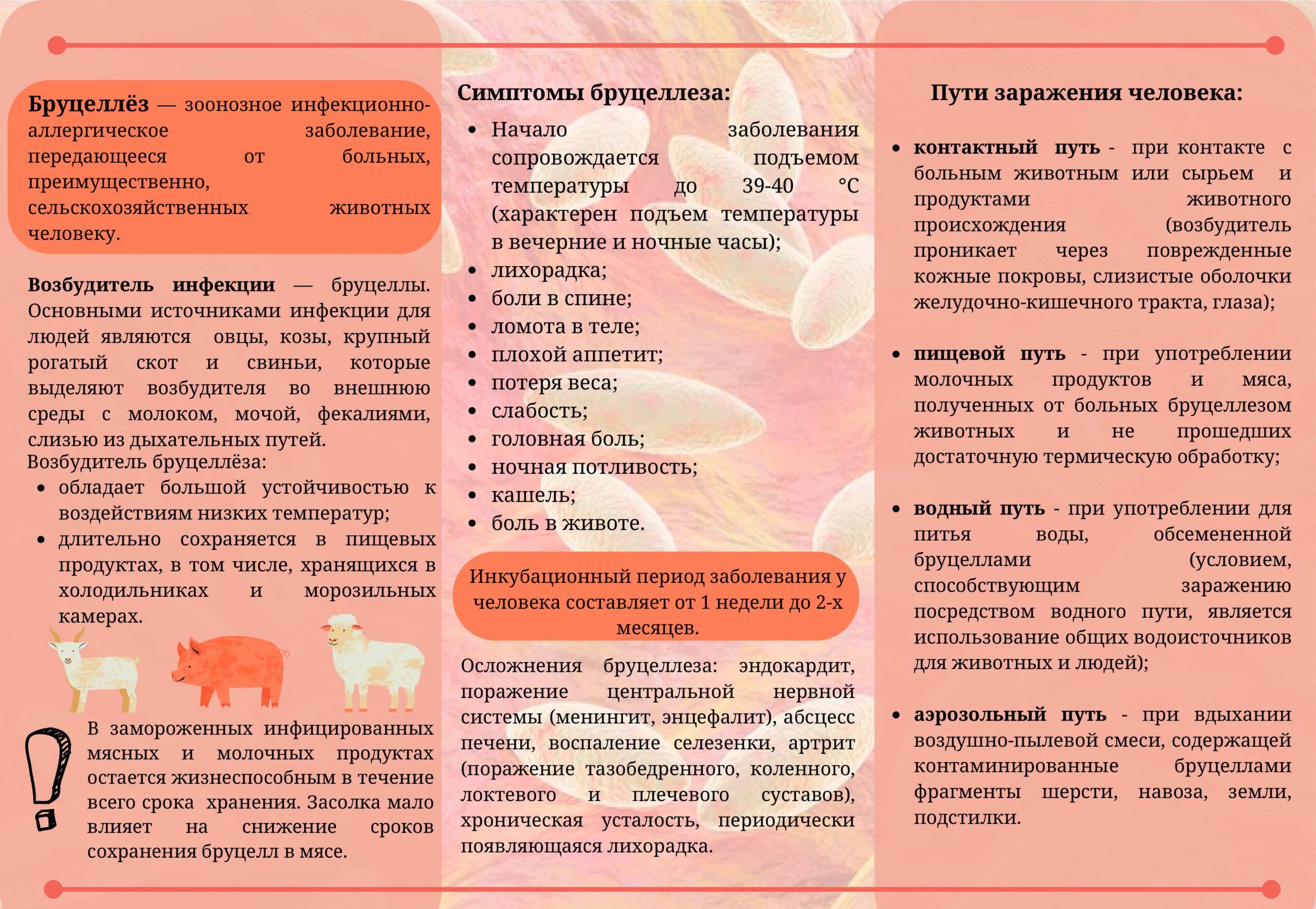 Бруцеллез 2