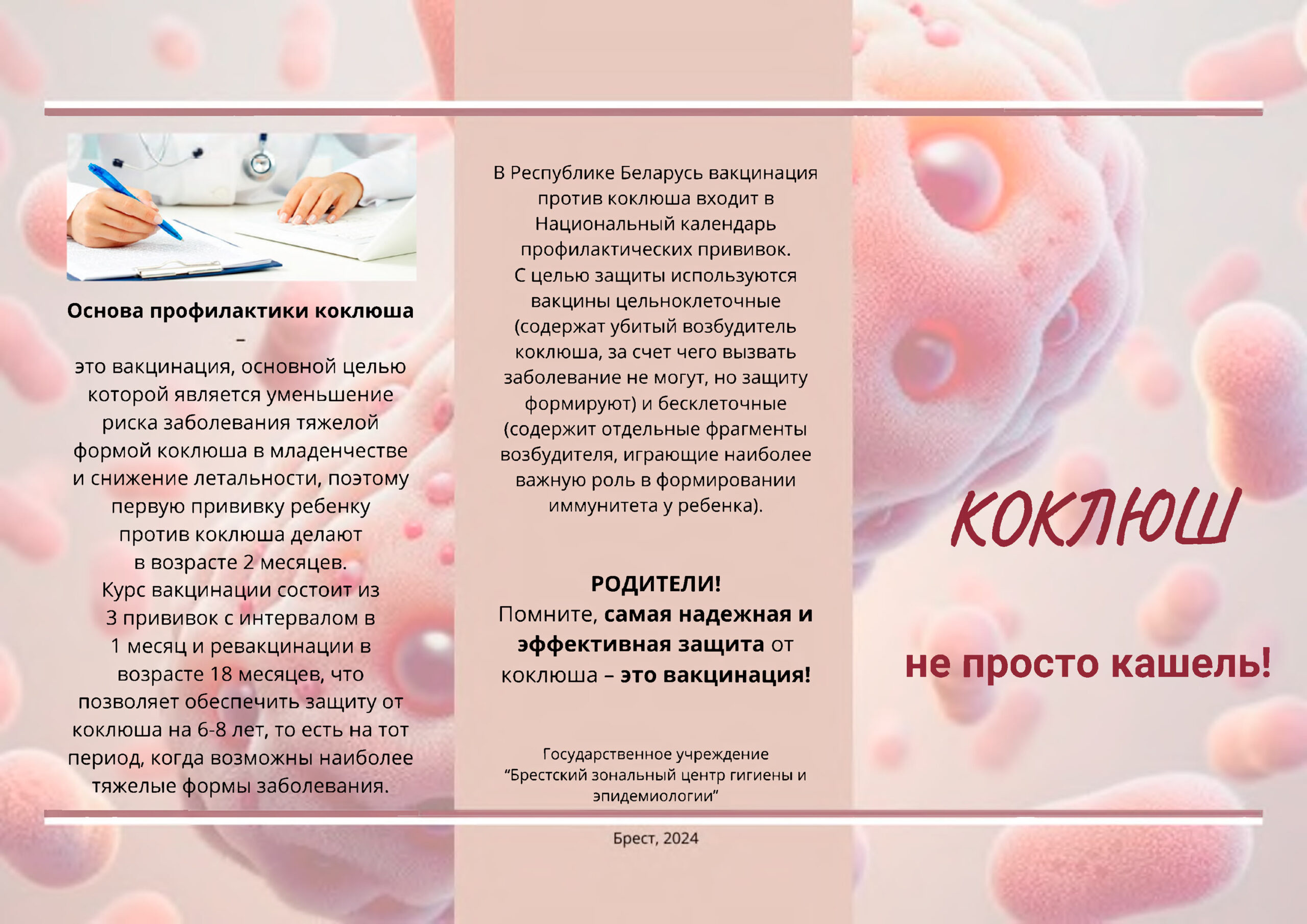 коклюш буклет 1