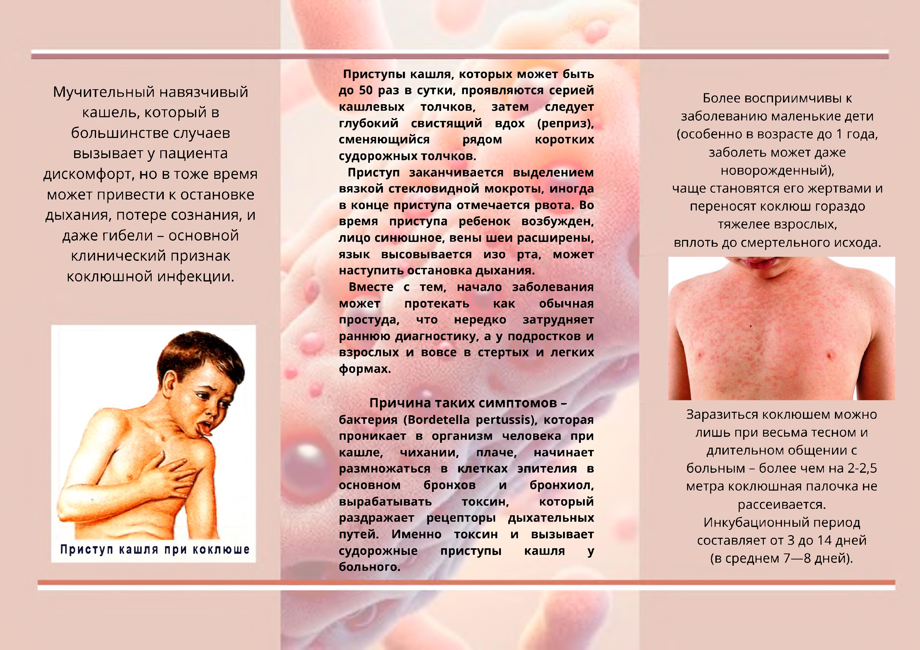 коклюш буклет 2