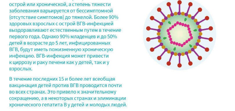 Factsheet Hepatitis B RUS 1