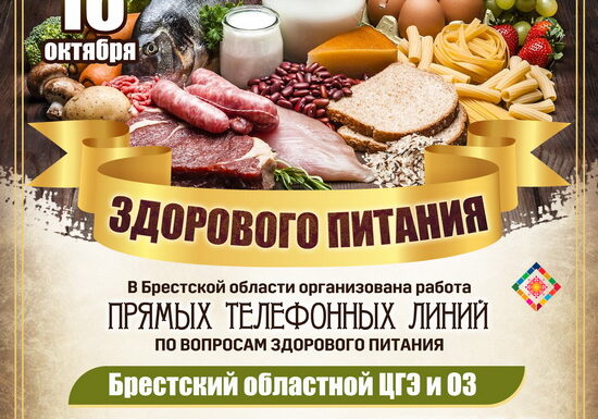 МД здорового питания 2024