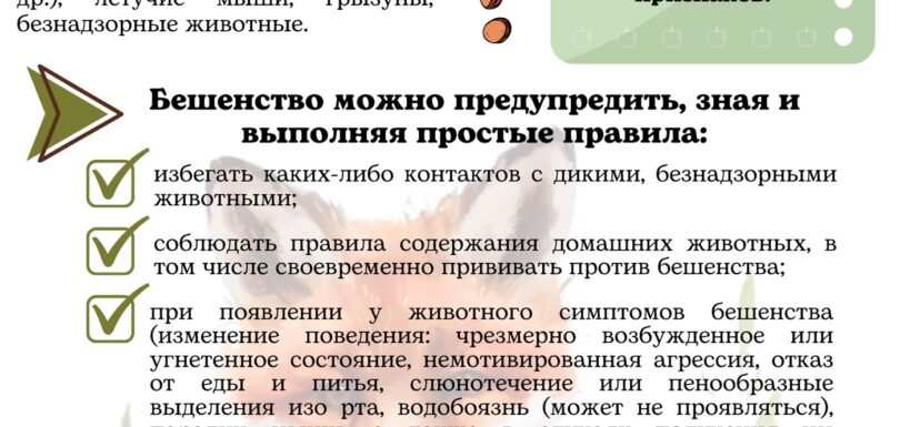 Бешенство 3